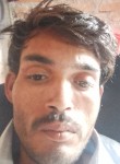 Sevy, 26 лет, Ashoknagar
