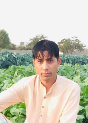 Asim khan, 24, جمهورئ اسلامئ افغانستان, کابل