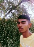 Anil rathod, 19 лет, Surendranagar