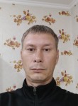 Александр, 45 лет, Тольятти