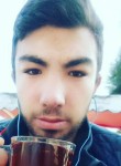 Ferhat, 23 года, Hopa