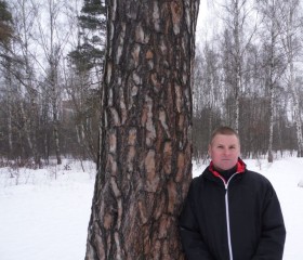 Андрей, 41 год, Красково
