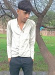 Vikash mehra, 18 лет, Mandideep