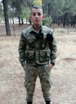 Mustafa, 24 года, Vakfıkebir