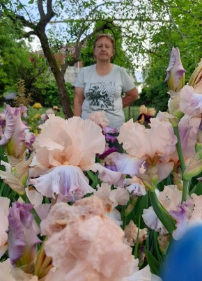 Людмила, 62, Россия, Каневская