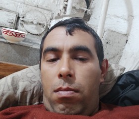 Toxir Abdullaev, 39 лет, Бишкек