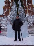 Анатолий, 69 лет, Ижевск