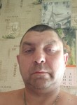 Сергей, 49 лет, Краснозаводск