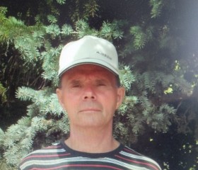 Михаил, 69 лет, Павлодар