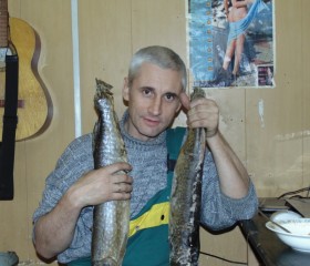 Михаил, 58 лет, Владимир