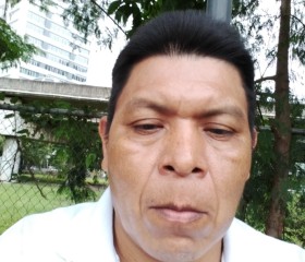 Julian bejerano, 49 лет, Ciudad de Panamá