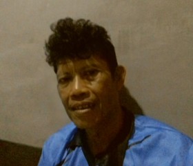 Arya, 42, Bambanglipuro