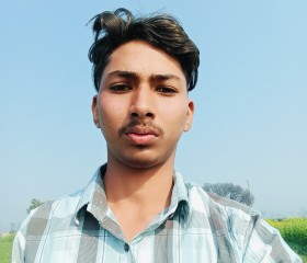 Sarbjeet singh, 19 лет, Ludhiana