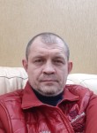 Андрей, 49 лет, Мытищи