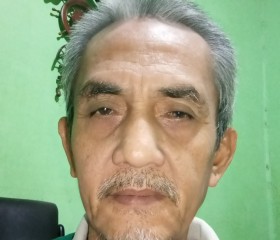 Andry, 57 лет, Kota Pekanbaru