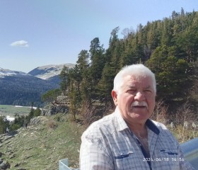 Владимир, 66 лет, Смоленск