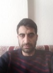 Sinan, 31  , Konya