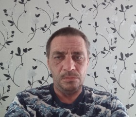 Анатолий, 49 лет, Сергиев Посад