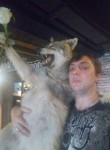 Krayt, 35  , Voronezh