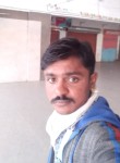 Dinesh Kumar, 27 лет, Ahmedabad