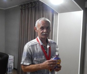 владимир, 60 лет, Тула