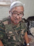 Абрек, 75 лет, Бишкек