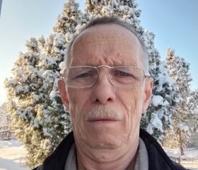 Oleg, 65, Volzhskiy (Volgograd)