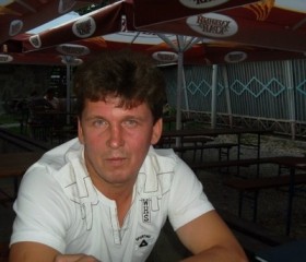 Андрей, 54 года, Людиново