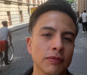 Ivan, 30 лет, México Distrito Federal