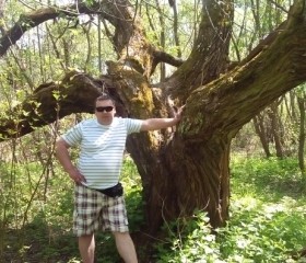 Николай, 44 года, Магілёў