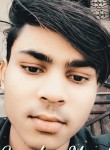 Vikas kumar, 18 лет, Indore
