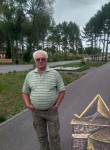 виктор, 72 года, Челябинск