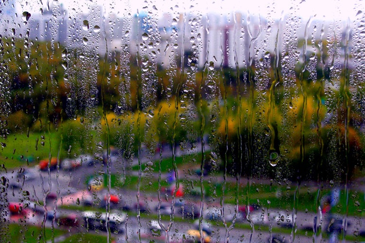 Утро дождь картинки. Летний дождь за окном. Утренний дождь. Утро лето дождь. Утренний летний дождь.