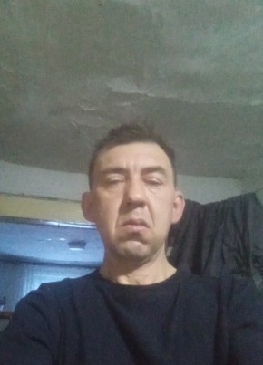 Денис, 45, Россия, Топки