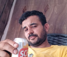 Cachorro, 18, Joinville