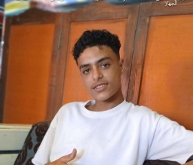 Elalmany, 18, Alexandria