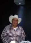 Adrian, 36 лет, Torreón