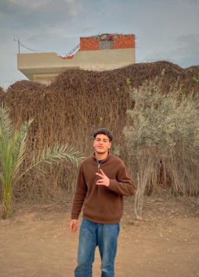محمد محمود, 21, Egypt, Cairo