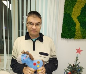 Андрей, 44 года, Екатеринбург