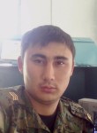 Эльдар, 32 года, Бишкек
