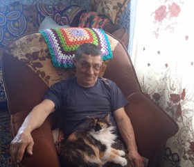 Александр Егоров, 62 года, Мамонтово