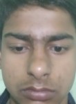 Anmol raghav, 20 лет, Khurja