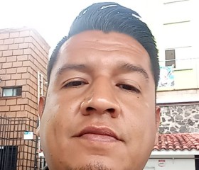 Ismael, 37 лет, Cuernavaca
