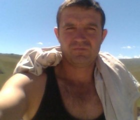 Альберт, 46 лет, Бишкек