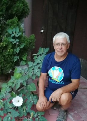 Mikhail, 62, Russia, Saint Petersburg