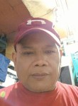 Vincent ugsang, 51 год, Cebu City