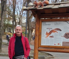 Сергей, 66 лет, Кисловодск