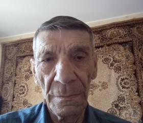 владимир, 74 года, Владимир