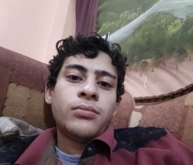 Seif Anwar, 22, Cairo