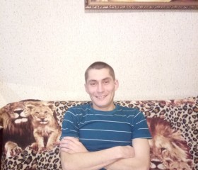 Лев, 37 лет, Архангельск